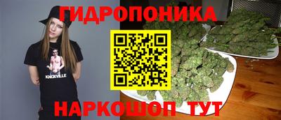 jwh Новодвинск