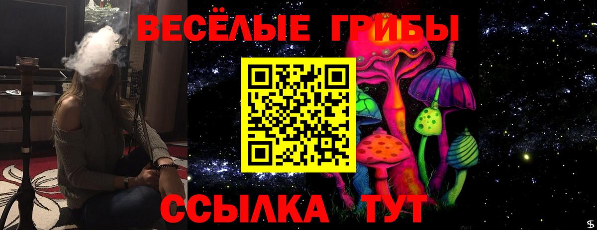 Ржев  Галлюциногенные грибы мухоморы  Вход с VPN 